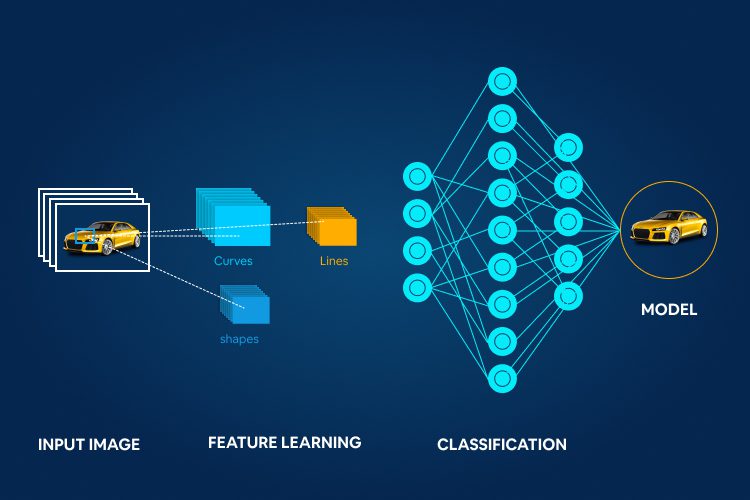 image classification with deep cnn