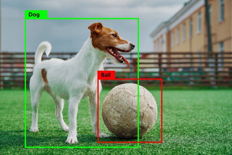 object detection