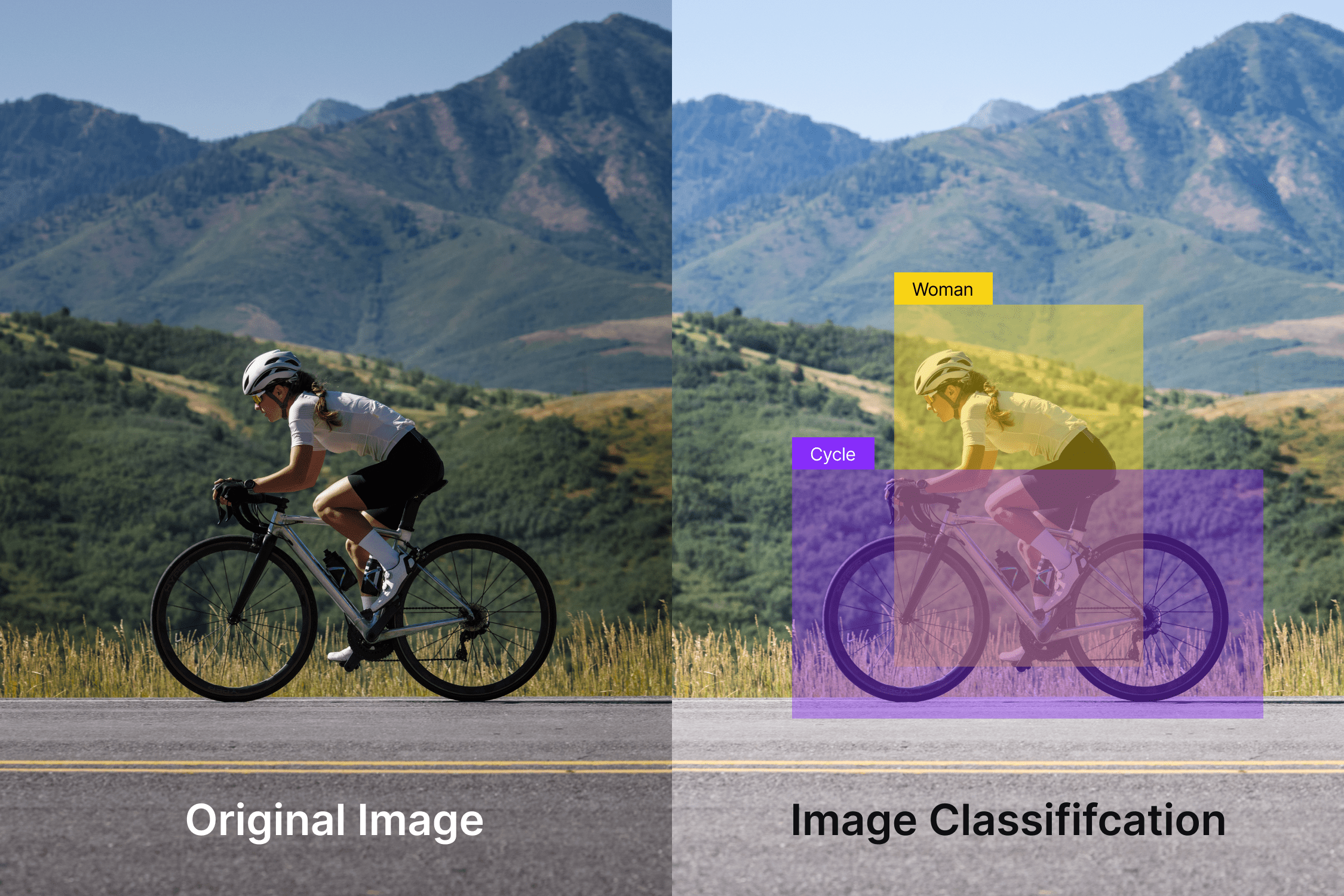 image classification applications